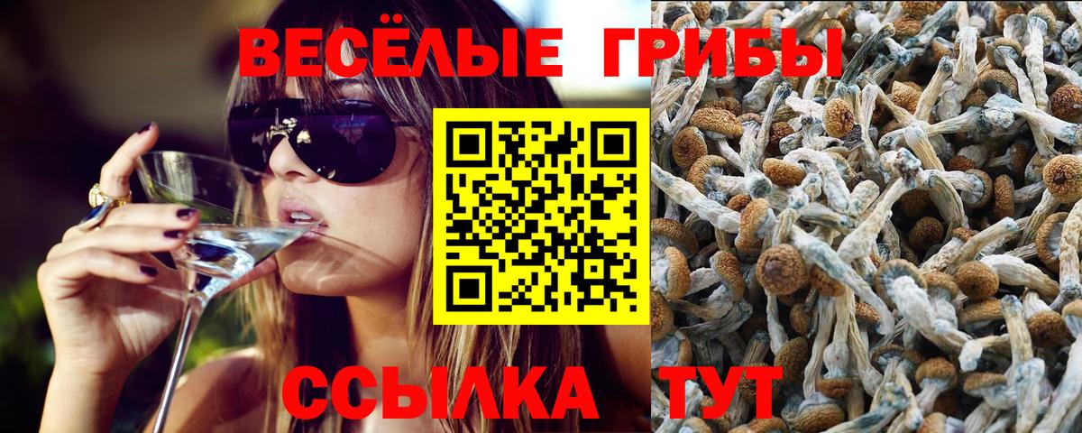 Псилоцибиновые грибы Cubensis Ипатово